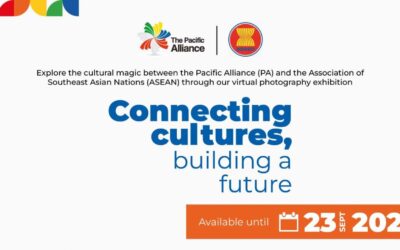 Connecting cultures, building a future